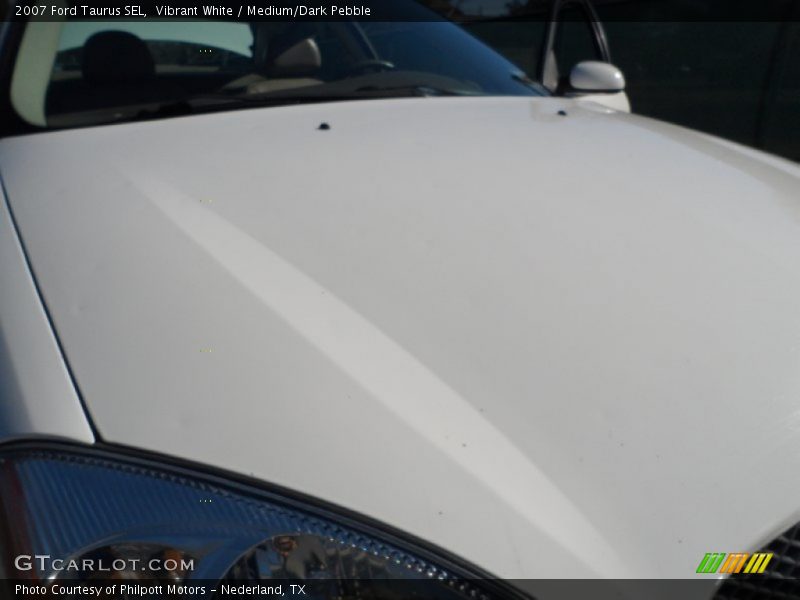 Vibrant White / Medium/Dark Pebble 2007 Ford Taurus SEL