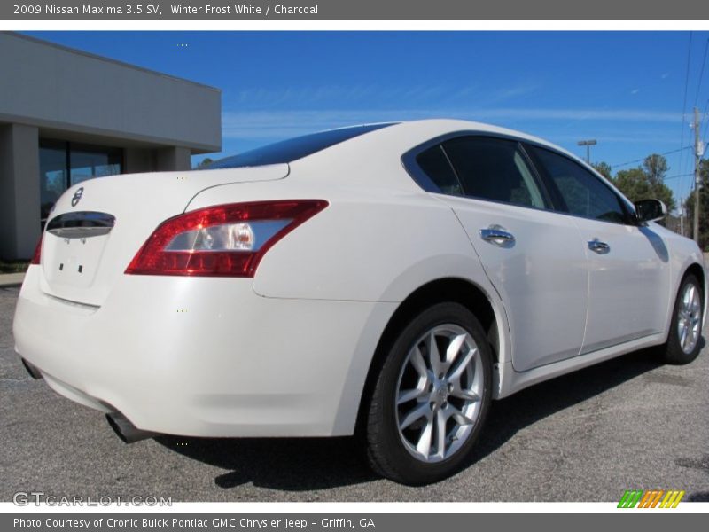 Winter Frost White / Charcoal 2009 Nissan Maxima 3.5 SV