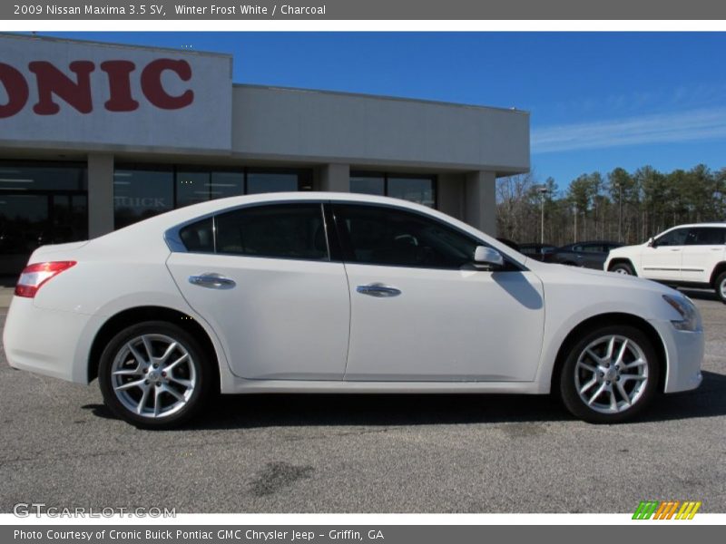Winter Frost White / Charcoal 2009 Nissan Maxima 3.5 SV