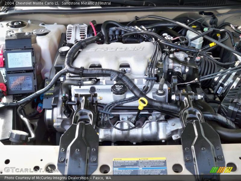 Sandstone Metallic / Neutral 2004 Chevrolet Monte Carlo LS