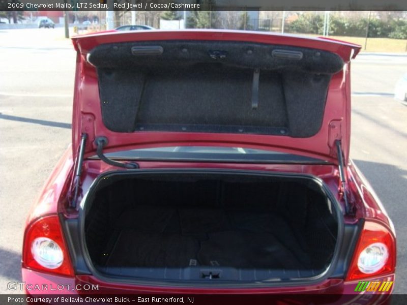 Red Jewel / Cocoa/Cashmere 2009 Chevrolet Malibu LTZ Sedan