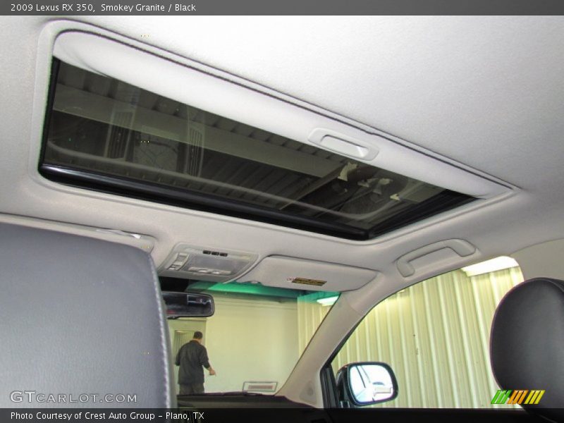 Smokey Granite / Black 2009 Lexus RX 350