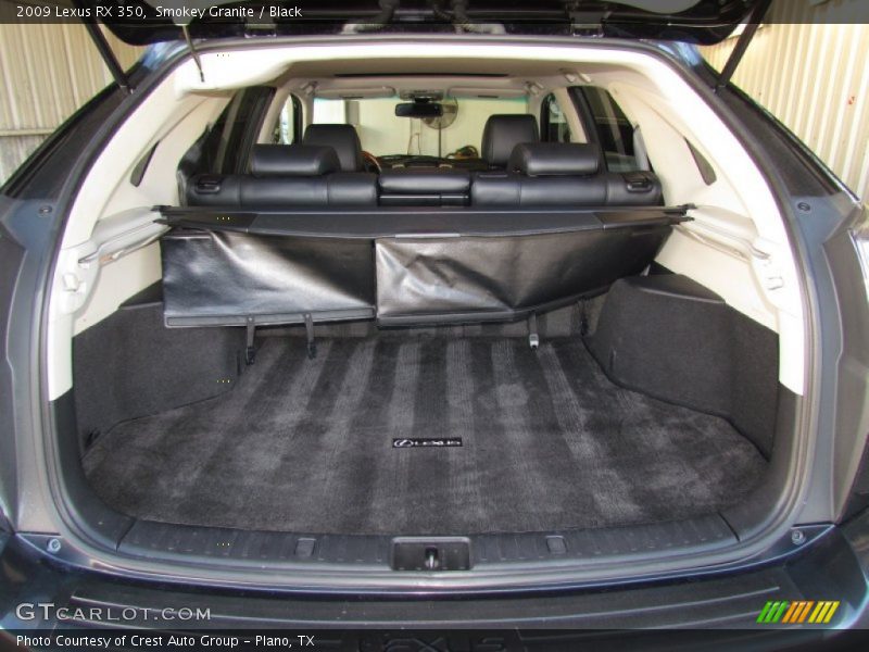 Smokey Granite / Black 2009 Lexus RX 350