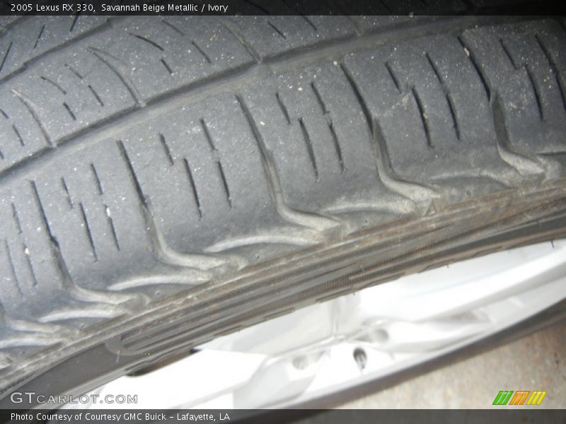 Savannah Beige Metallic / Ivory 2005 Lexus RX 330
