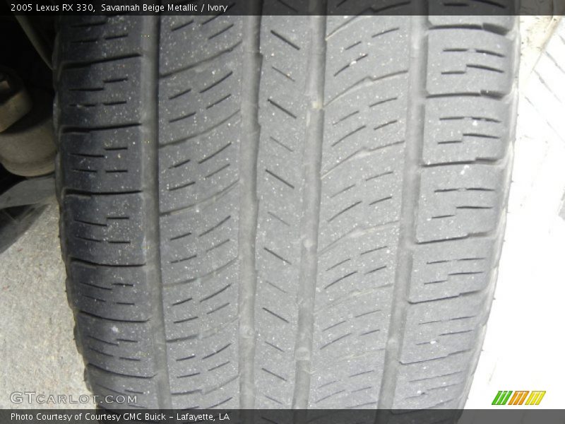 Savannah Beige Metallic / Ivory 2005 Lexus RX 330