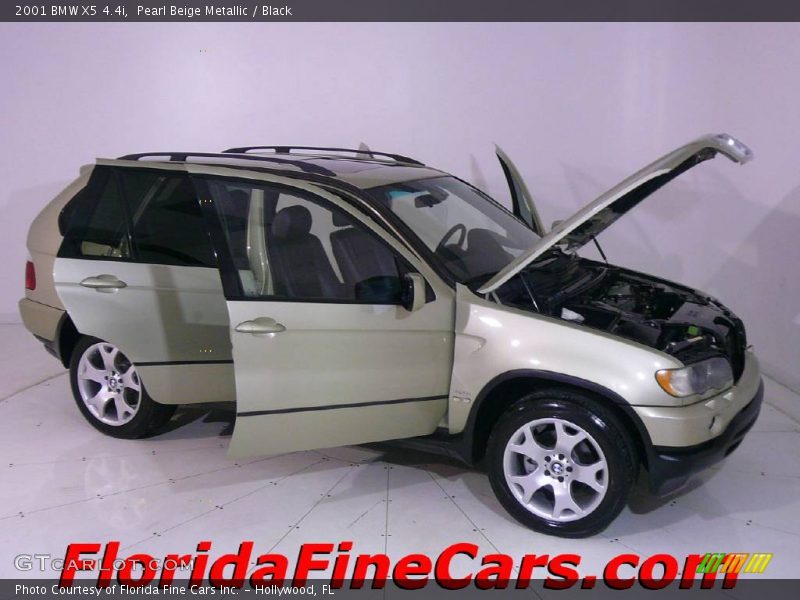 Pearl Beige Metallic / Black 2001 BMW X5 4.4i