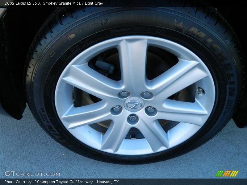 Smokey Granite Mica / Light Gray 2009 Lexus ES 350
