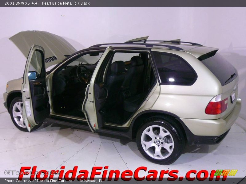 Pearl Beige Metallic / Black 2001 BMW X5 4.4i