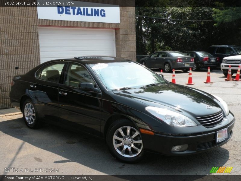Black Onyx / Ivory 2002 Lexus ES 300