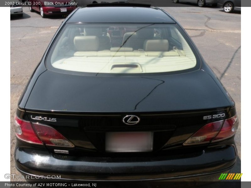 Black Onyx / Ivory 2002 Lexus ES 300