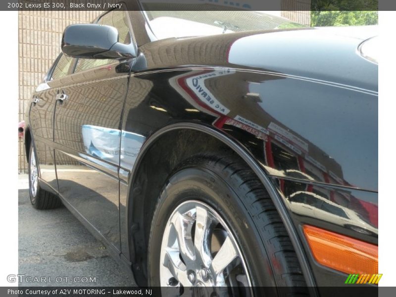 Black Onyx / Ivory 2002 Lexus ES 300