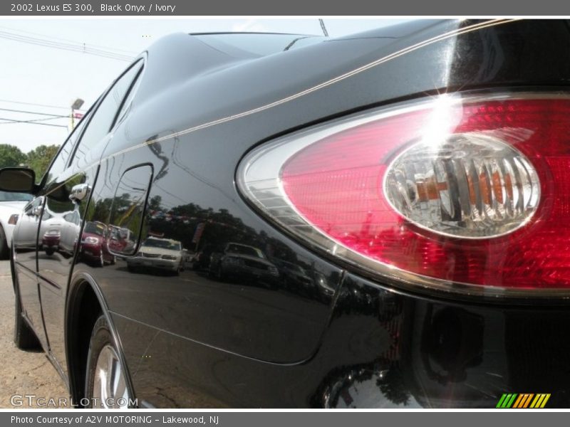 Black Onyx / Ivory 2002 Lexus ES 300