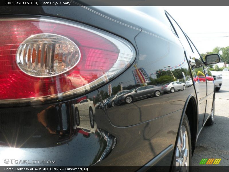 Black Onyx / Ivory 2002 Lexus ES 300