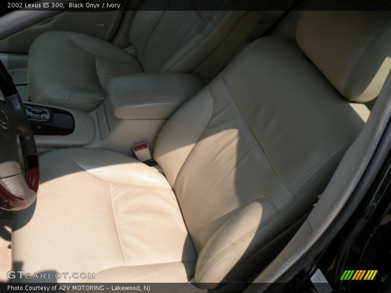 Black Onyx / Ivory 2002 Lexus ES 300