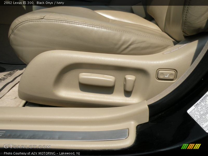 Black Onyx / Ivory 2002 Lexus ES 300