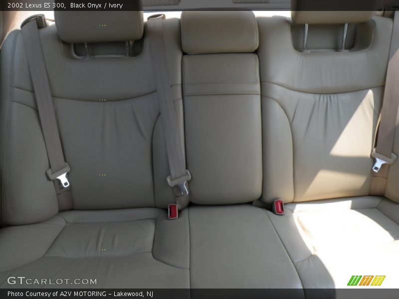 Black Onyx / Ivory 2002 Lexus ES 300