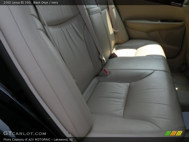 Black Onyx / Ivory 2002 Lexus ES 300