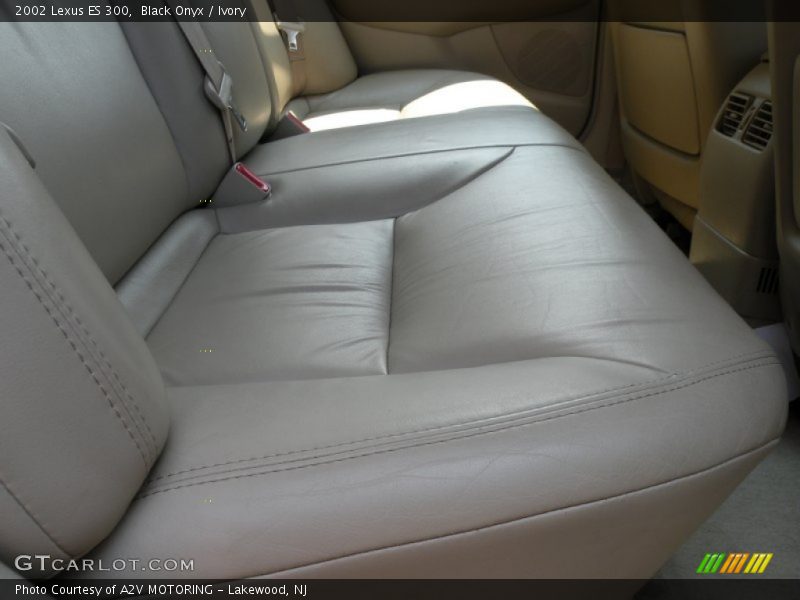 Black Onyx / Ivory 2002 Lexus ES 300