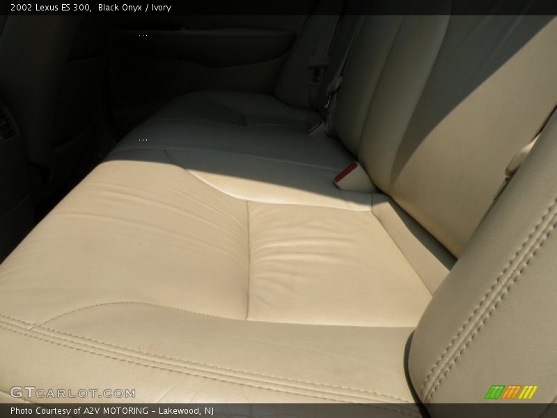 Black Onyx / Ivory 2002 Lexus ES 300