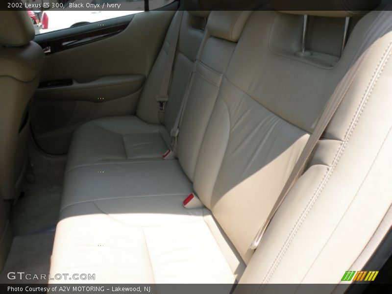 Black Onyx / Ivory 2002 Lexus ES 300