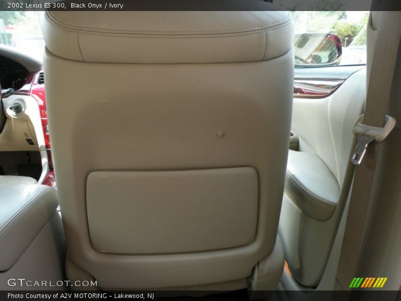 Black Onyx / Ivory 2002 Lexus ES 300