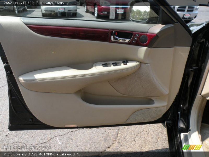 Black Onyx / Ivory 2002 Lexus ES 300