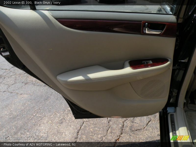 Black Onyx / Ivory 2002 Lexus ES 300