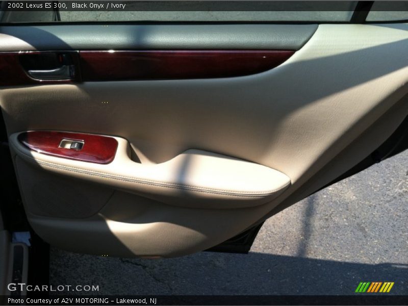 Black Onyx / Ivory 2002 Lexus ES 300