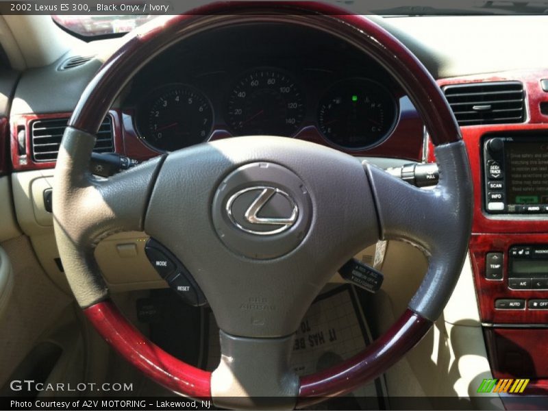 Black Onyx / Ivory 2002 Lexus ES 300