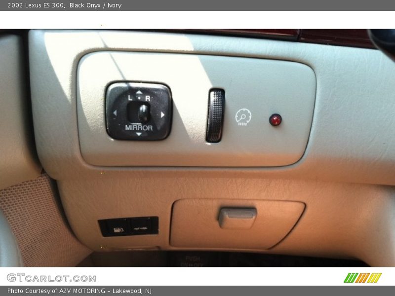 Black Onyx / Ivory 2002 Lexus ES 300