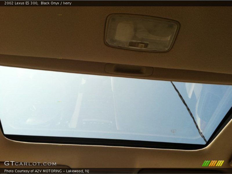 Black Onyx / Ivory 2002 Lexus ES 300