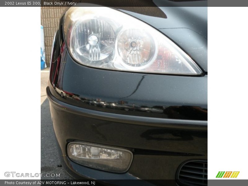 Black Onyx / Ivory 2002 Lexus ES 300