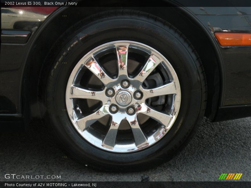 Black Onyx / Ivory 2002 Lexus ES 300