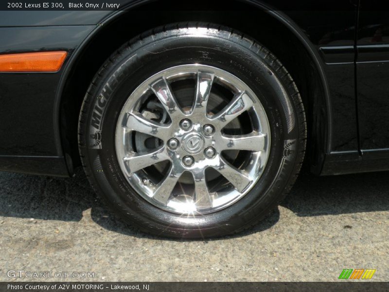 Black Onyx / Ivory 2002 Lexus ES 300