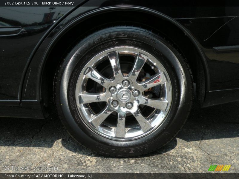 Black Onyx / Ivory 2002 Lexus ES 300