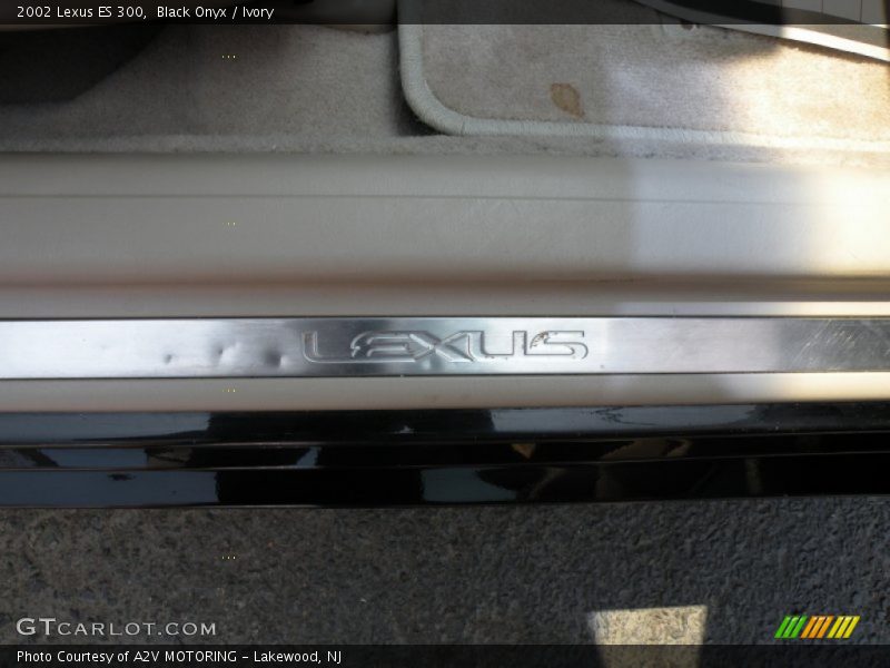 Black Onyx / Ivory 2002 Lexus ES 300
