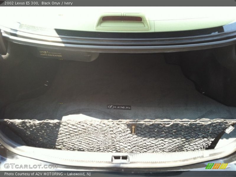 Black Onyx / Ivory 2002 Lexus ES 300