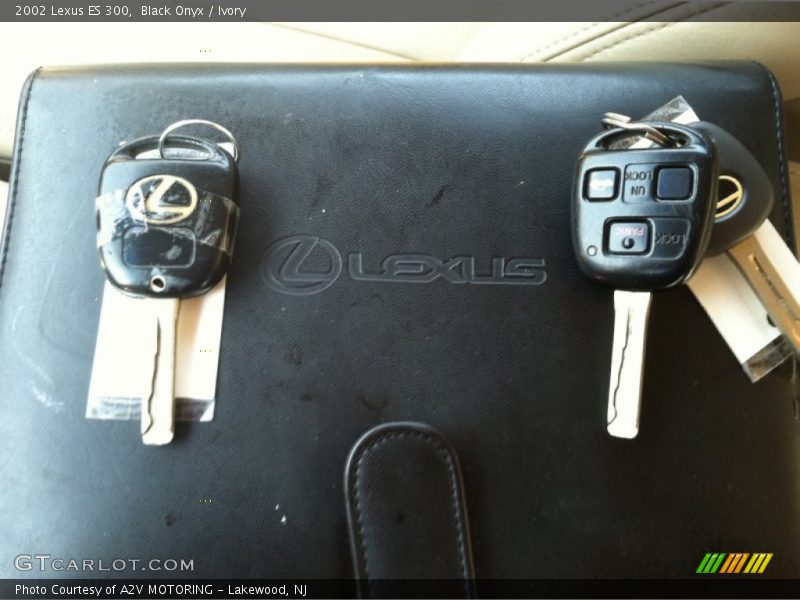 Black Onyx / Ivory 2002 Lexus ES 300