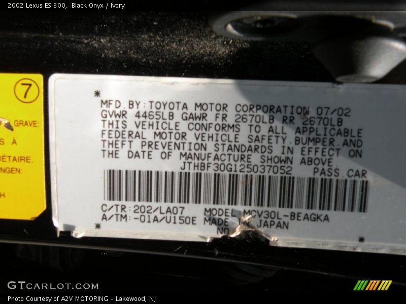 Black Onyx / Ivory 2002 Lexus ES 300
