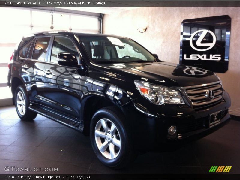 Black Onyx / Sepia/Auburn Bubinga 2011 Lexus GX 460