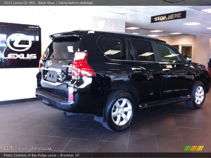 Black Onyx / Sepia/Auburn Bubinga 2011 Lexus GX 460