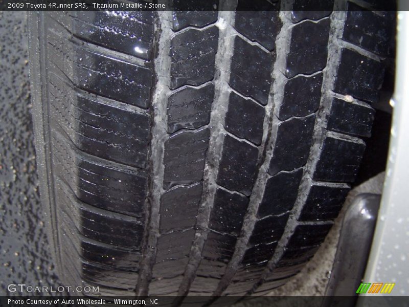 Titanium Metallic / Stone 2009 Toyota 4Runner SR5
