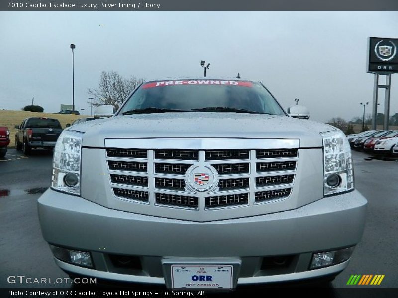 Silver Lining / Ebony 2010 Cadillac Escalade Luxury