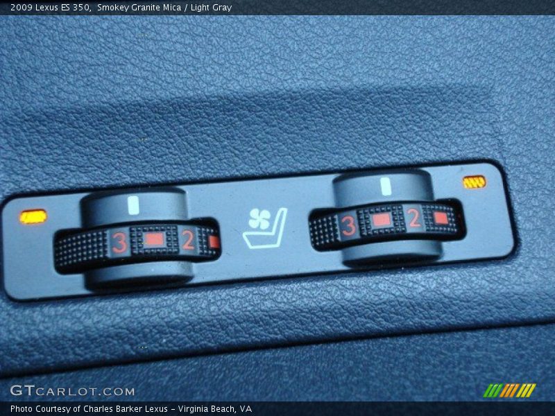 Smokey Granite Mica / Light Gray 2009 Lexus ES 350