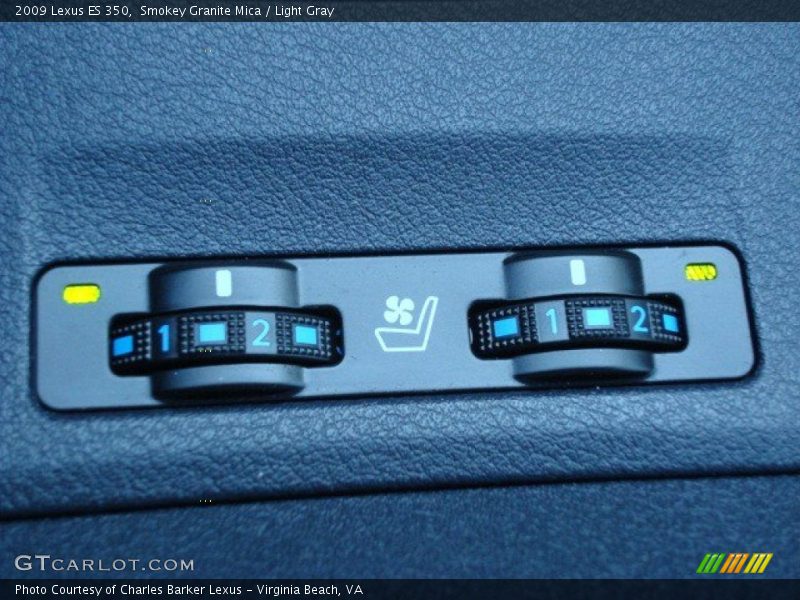 Smokey Granite Mica / Light Gray 2009 Lexus ES 350