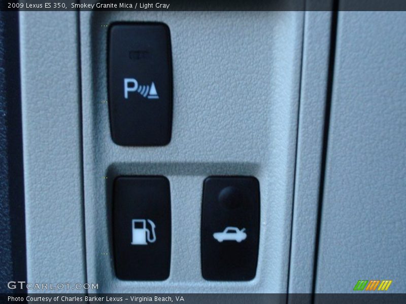 Smokey Granite Mica / Light Gray 2009 Lexus ES 350