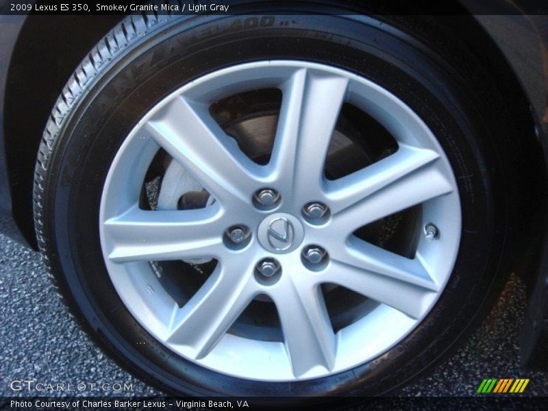 Smokey Granite Mica / Light Gray 2009 Lexus ES 350
