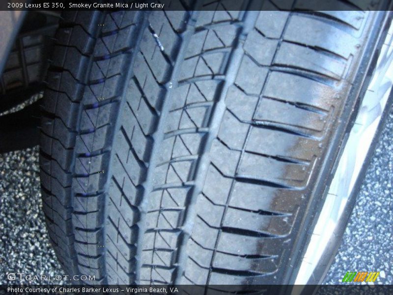 Smokey Granite Mica / Light Gray 2009 Lexus ES 350