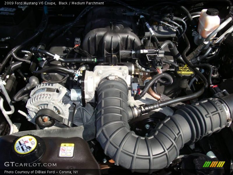Black / Medium Parchment 2009 Ford Mustang V6 Coupe