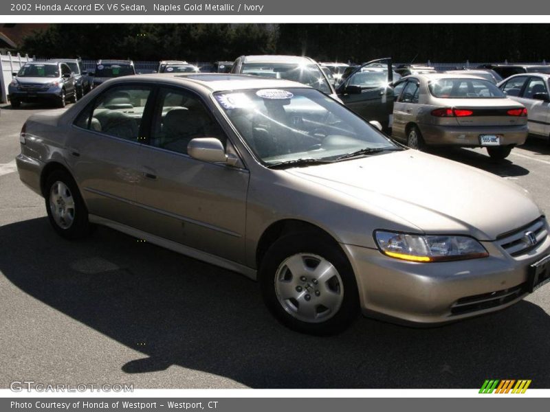 Naples Gold Metallic / Ivory 2002 Honda Accord EX V6 Sedan